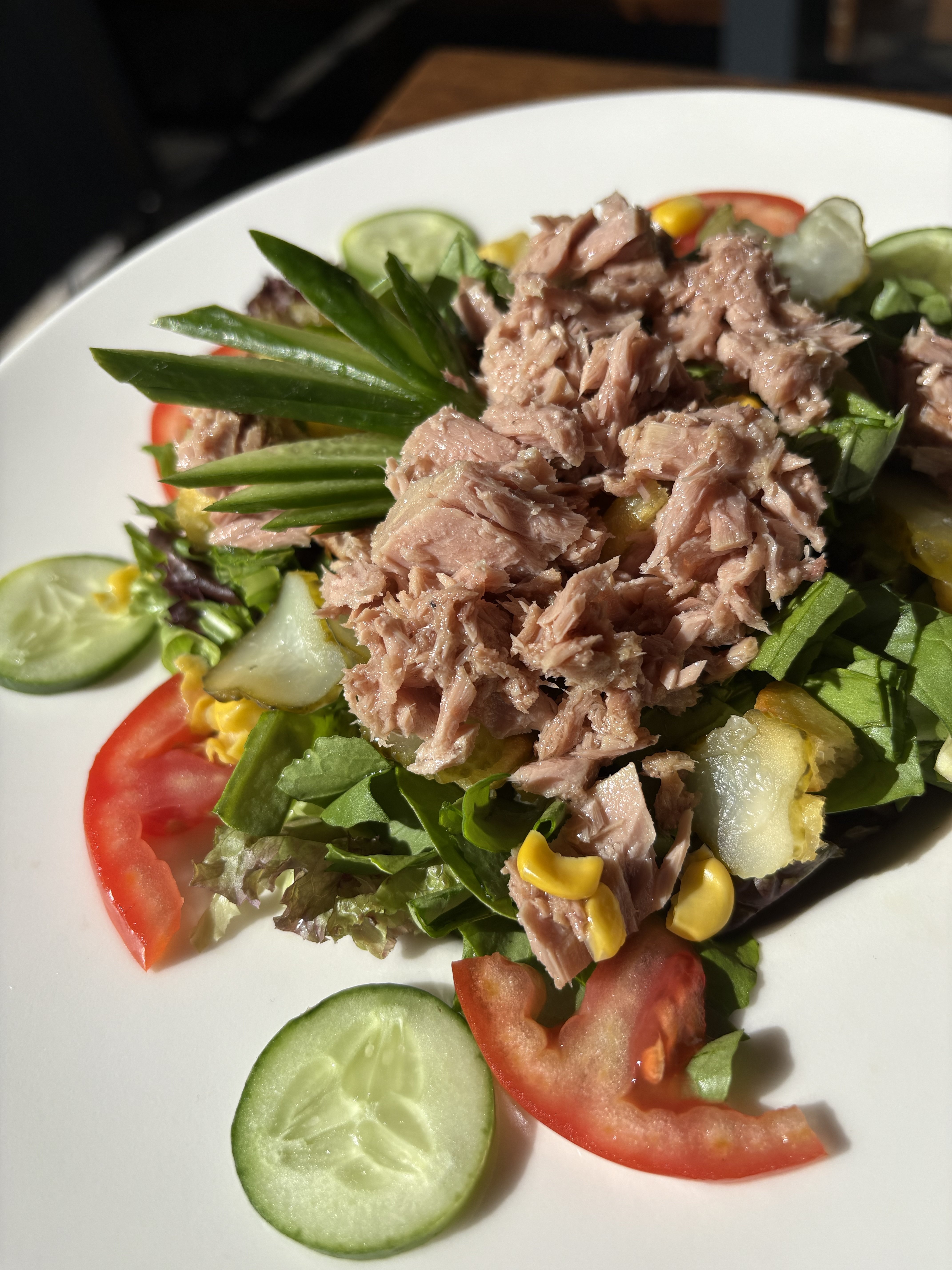 Ton balıklı salata